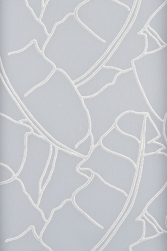 C2197 - V